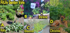 Obama FitLife Garden Contest by SusieQ FitLife